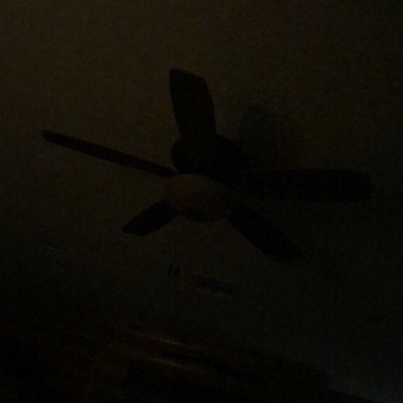 Meet your Posher, Lori - Picture 1 of 1